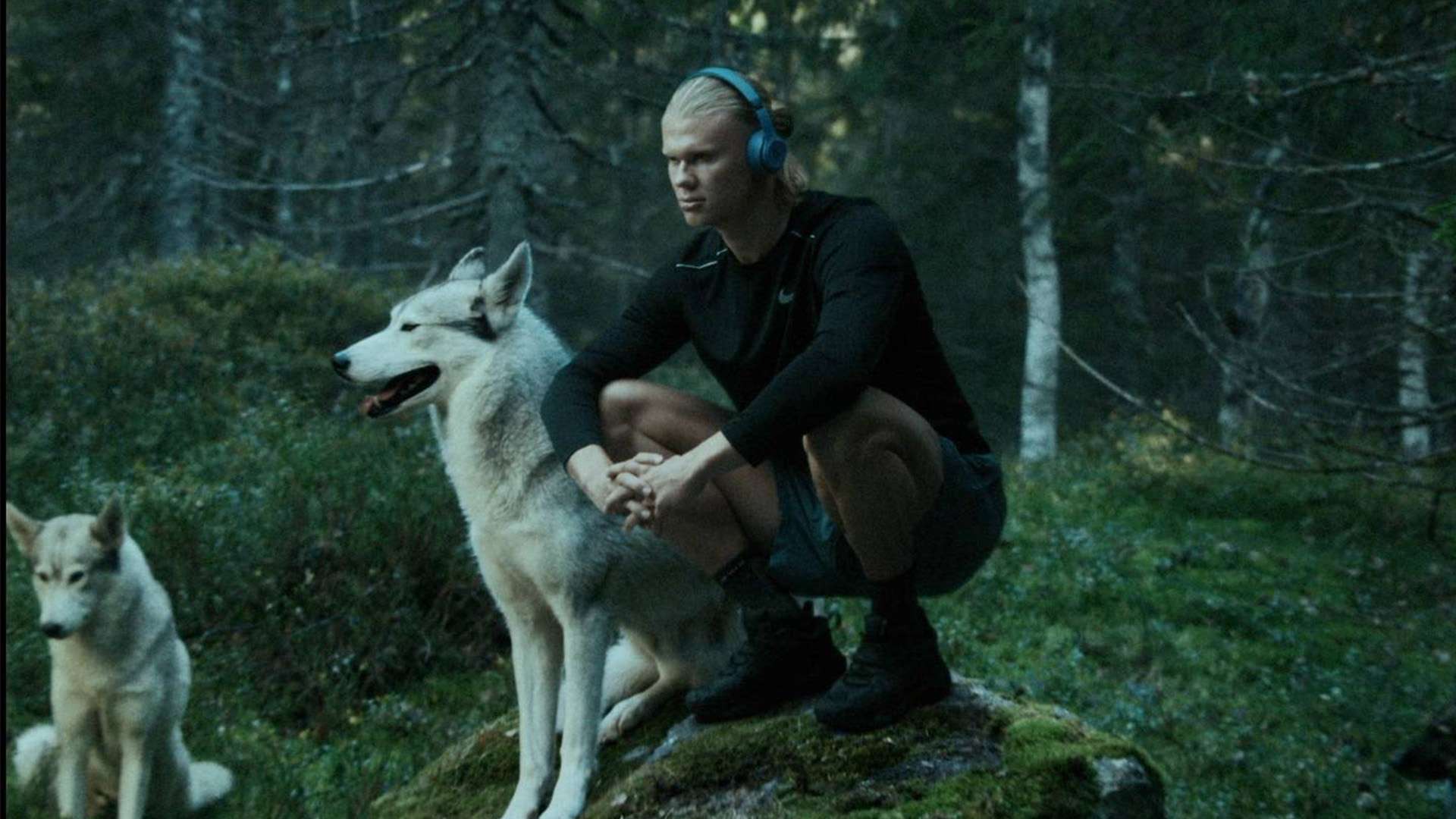 許多公司將 許多公司將